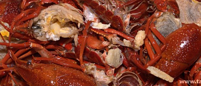Crayfish – no thanks!