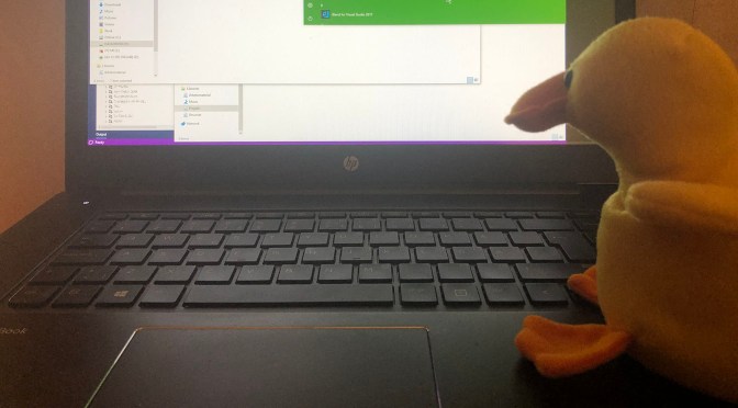 Rubber duck debugging